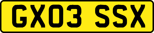 GX03SSX