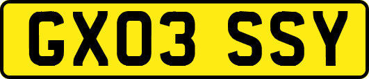 GX03SSY