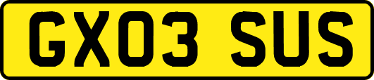GX03SUS