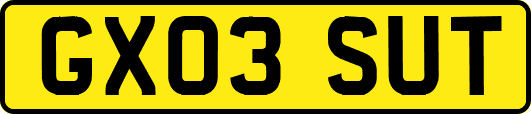 GX03SUT