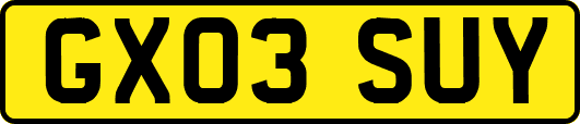 GX03SUY