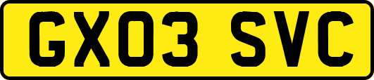 GX03SVC