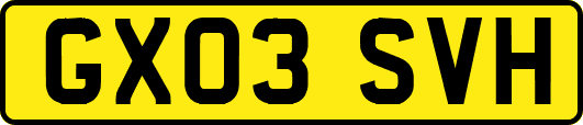 GX03SVH