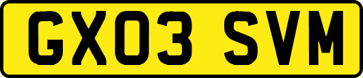 GX03SVM