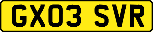 GX03SVR