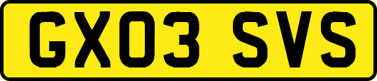 GX03SVS