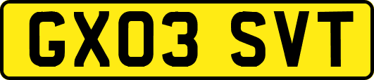 GX03SVT