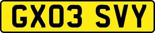 GX03SVY