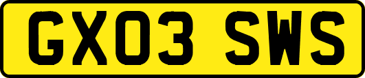 GX03SWS