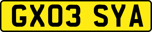 GX03SYA