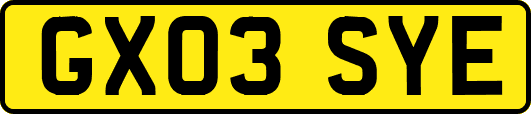 GX03SYE