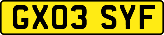 GX03SYF