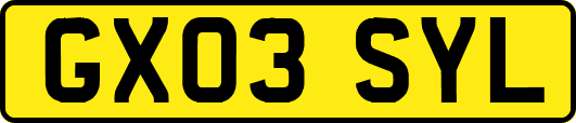 GX03SYL