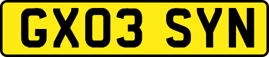 GX03SYN