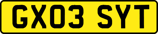 GX03SYT