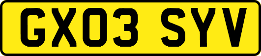 GX03SYV