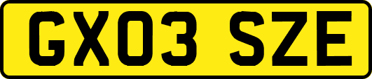 GX03SZE