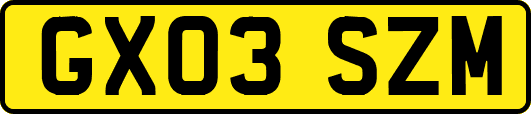GX03SZM