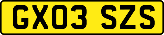 GX03SZS