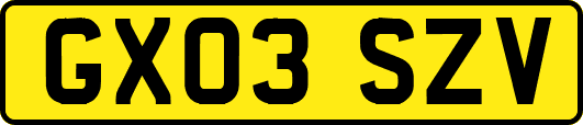 GX03SZV