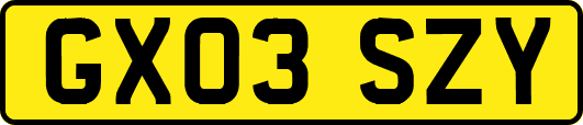 GX03SZY