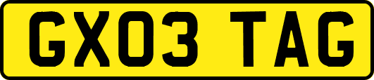 GX03TAG