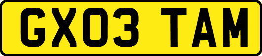 GX03TAM