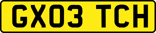 GX03TCH