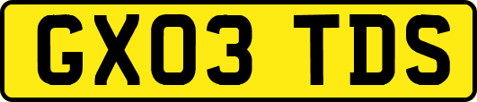 GX03TDS