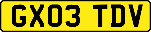 GX03TDV