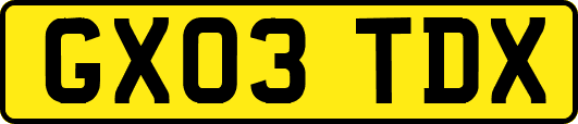 GX03TDX