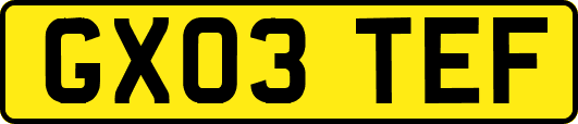 GX03TEF