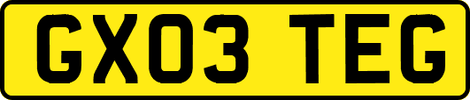 GX03TEG
