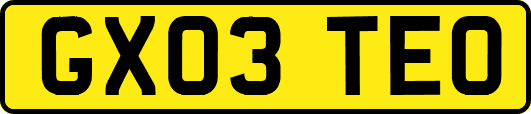 GX03TEO