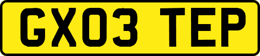 GX03TEP