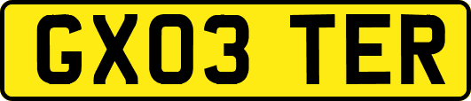 GX03TER