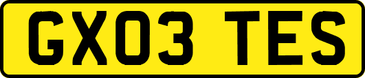 GX03TES