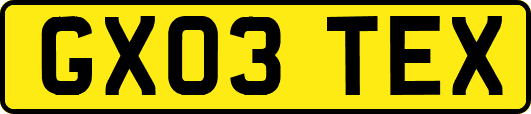 GX03TEX