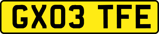 GX03TFE
