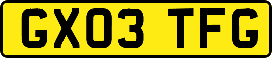 GX03TFG