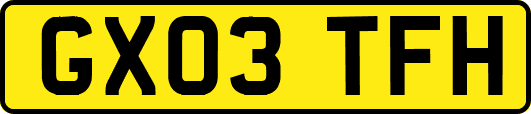 GX03TFH