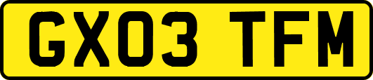 GX03TFM