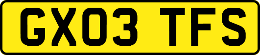 GX03TFS