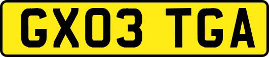 GX03TGA