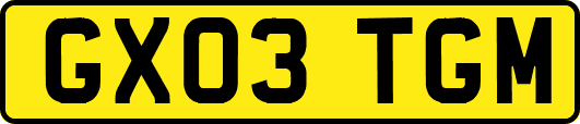 GX03TGM