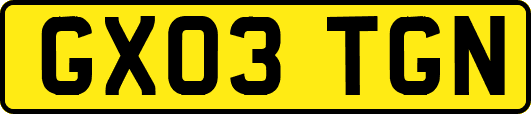 GX03TGN
