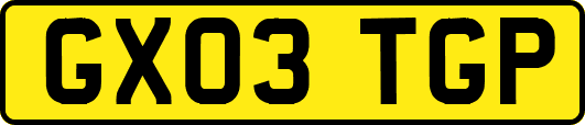 GX03TGP