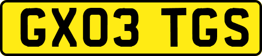 GX03TGS