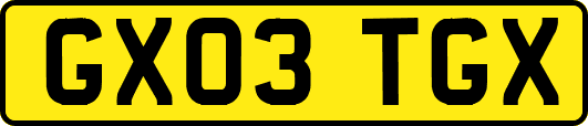GX03TGX