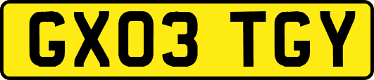 GX03TGY